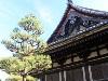 Kyoto Landscape